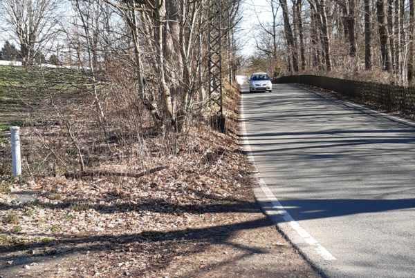 Trampelpfad an der Höfestraße